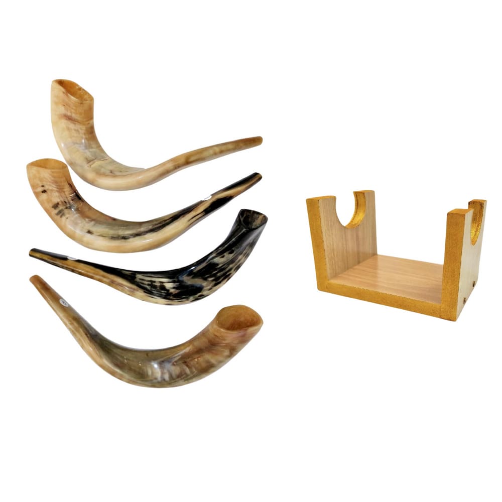 Shofar De Chifre De Carneiro De Tocar + Suporte - De Israel