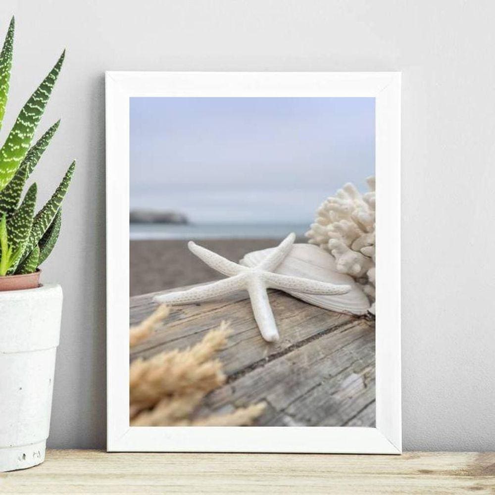 Quadro Coleção Praia Soft - Estrela Do Mar 33X24Cm - Com Vidro