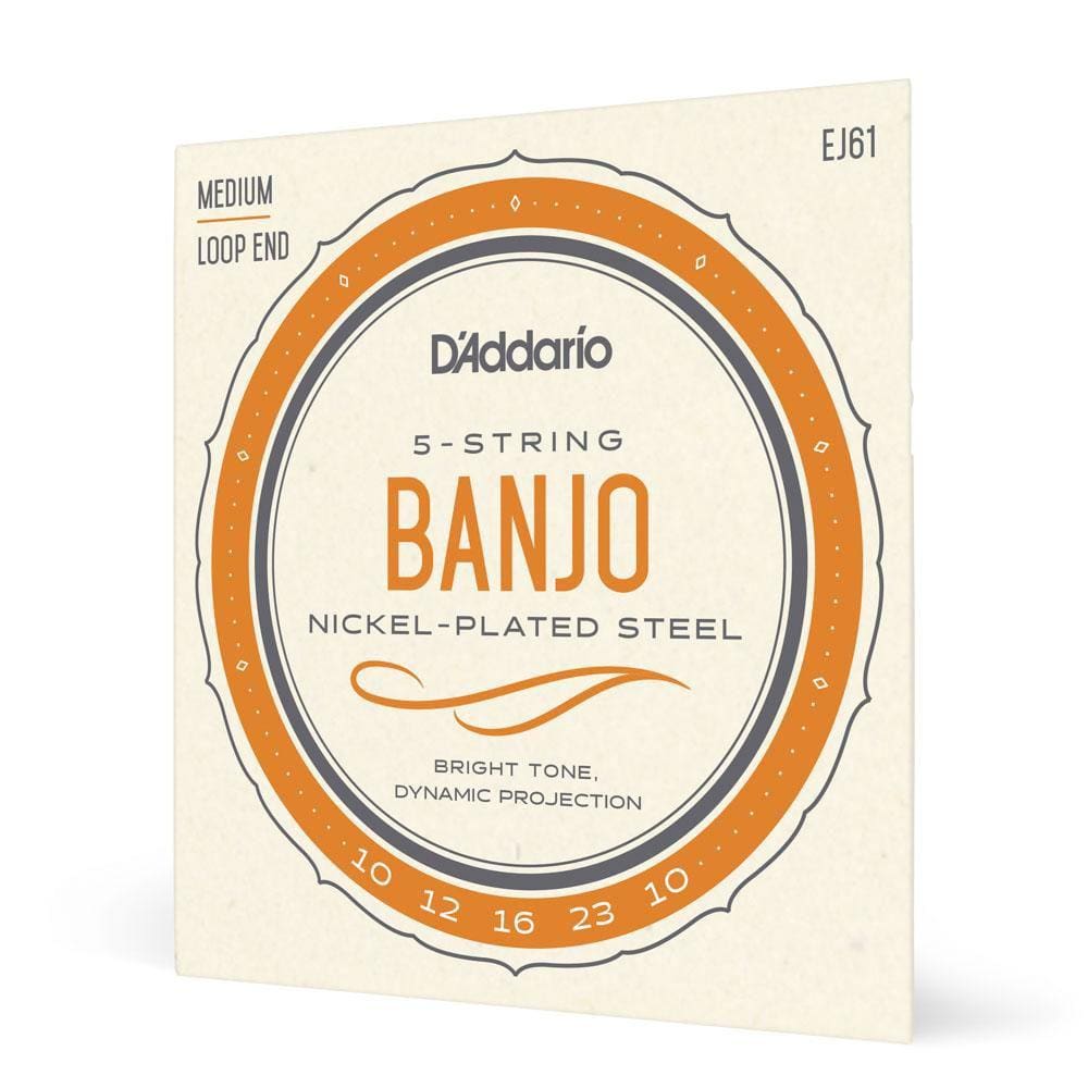Encordoamento Banjo 5C D Addario Nickel Plated Steel EJ61 [F035]