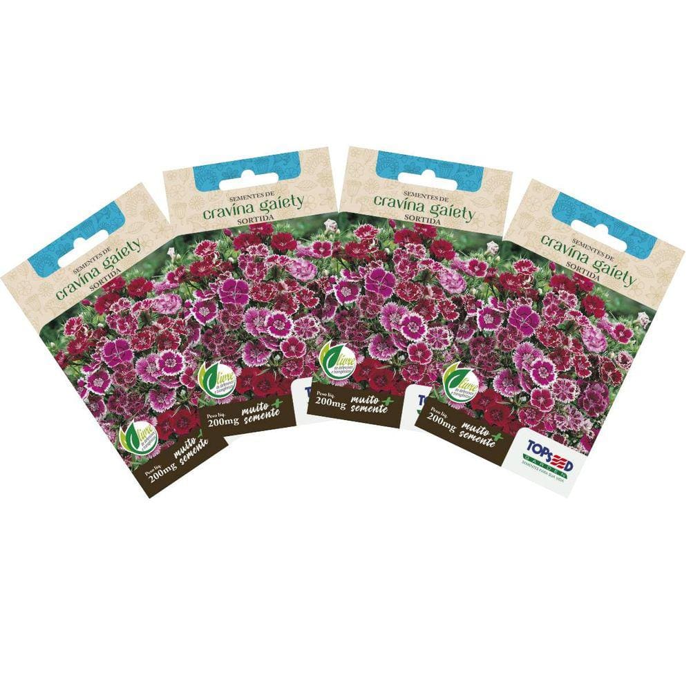 4X Sementes de Cravina Gaiety TOPSEED