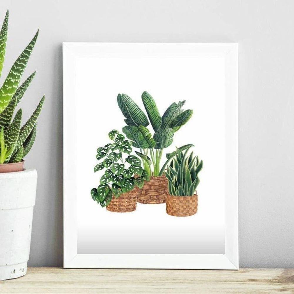Quadro Minimalista Vaso De Plantas 24X18Cm - Com Vidro