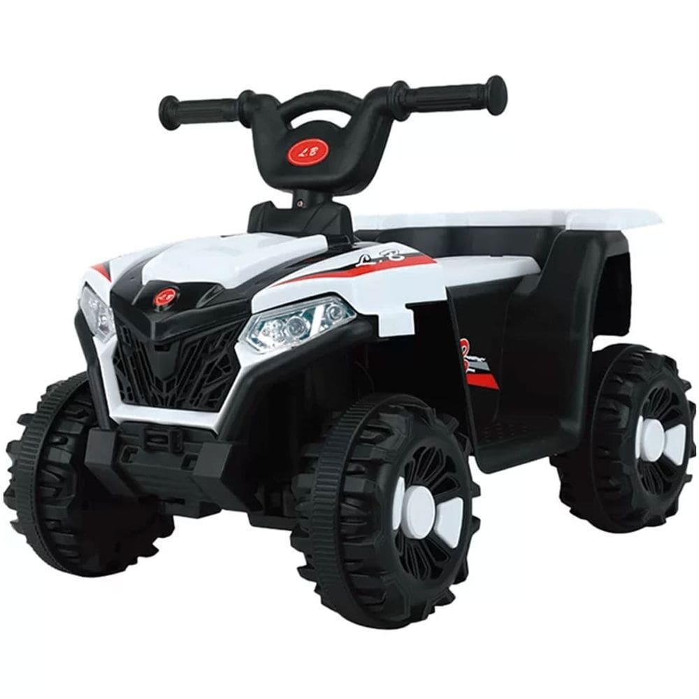 Quadriciclo Eletrico Infantil 6v Zippy Toys