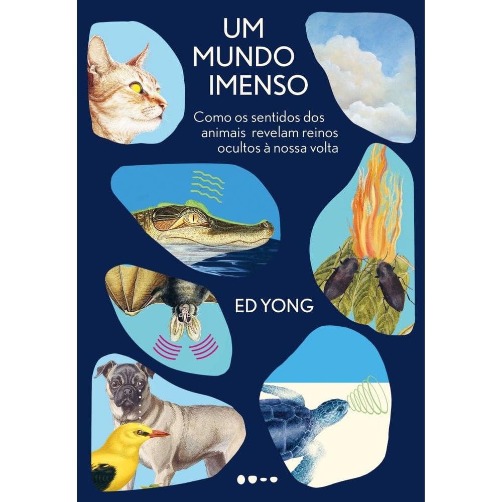 Um mundo imenso (0605)