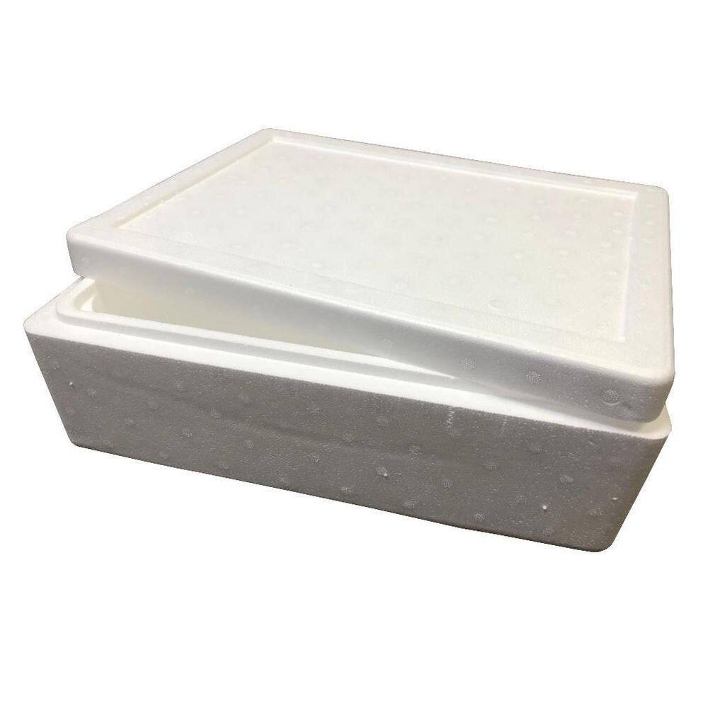 Caixa isopor para alimento pescado 13kg isoterm 2unds