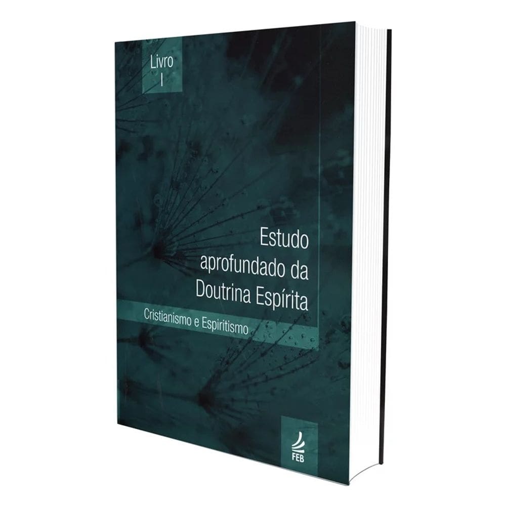 Estudo Aprofundado Da Doutrina Espírita - Livro 1