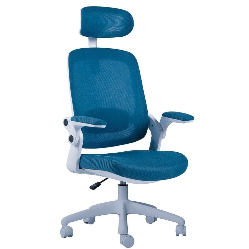 Cadeira de Escritorio Presidente NR17 Elements Astra Branca/Azul