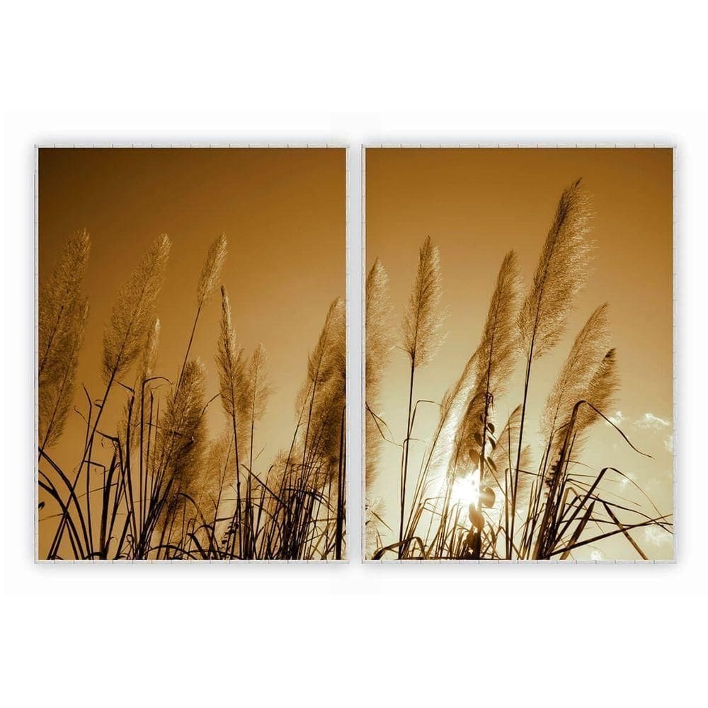 Kit Com 2 Quadros Decorativos Florais Com Moldura Para Sala Quarto Escritório 62x82 Floral 023