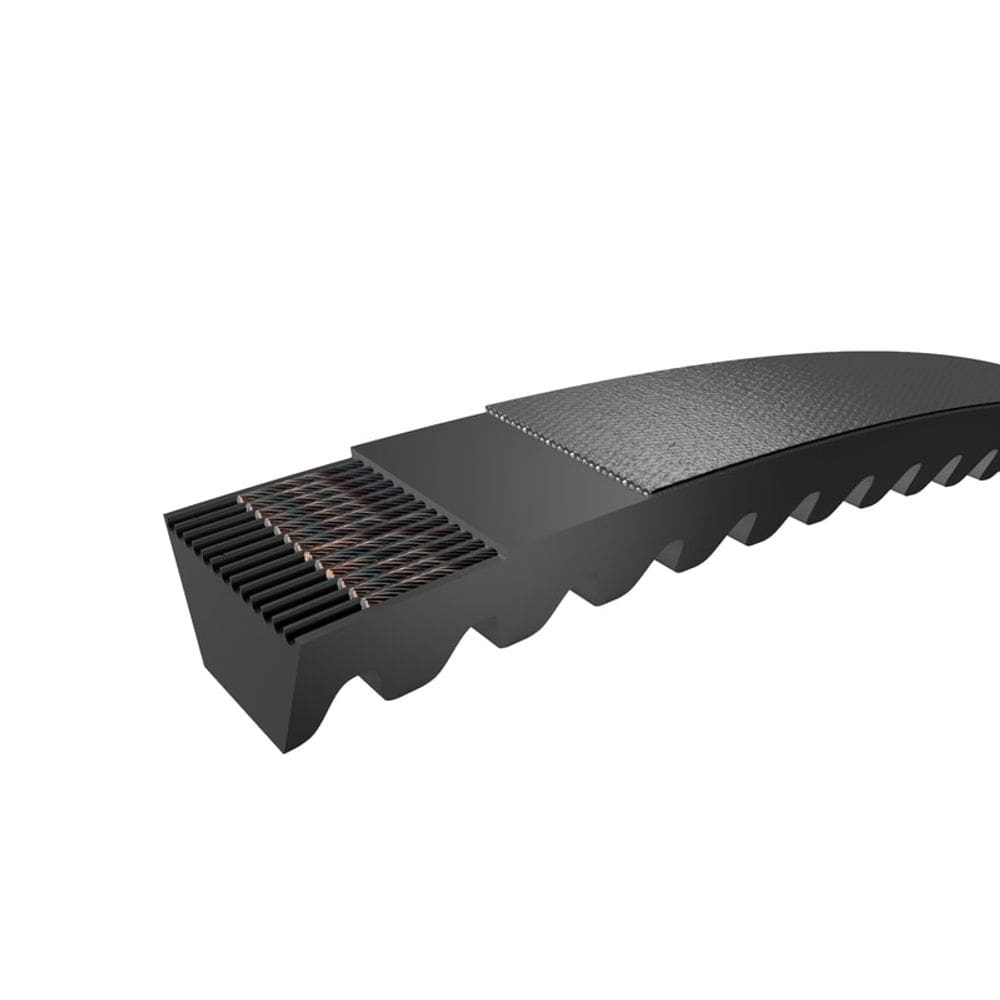 Correia de Cunha de Extremidade Dentada SKF PHG BX108