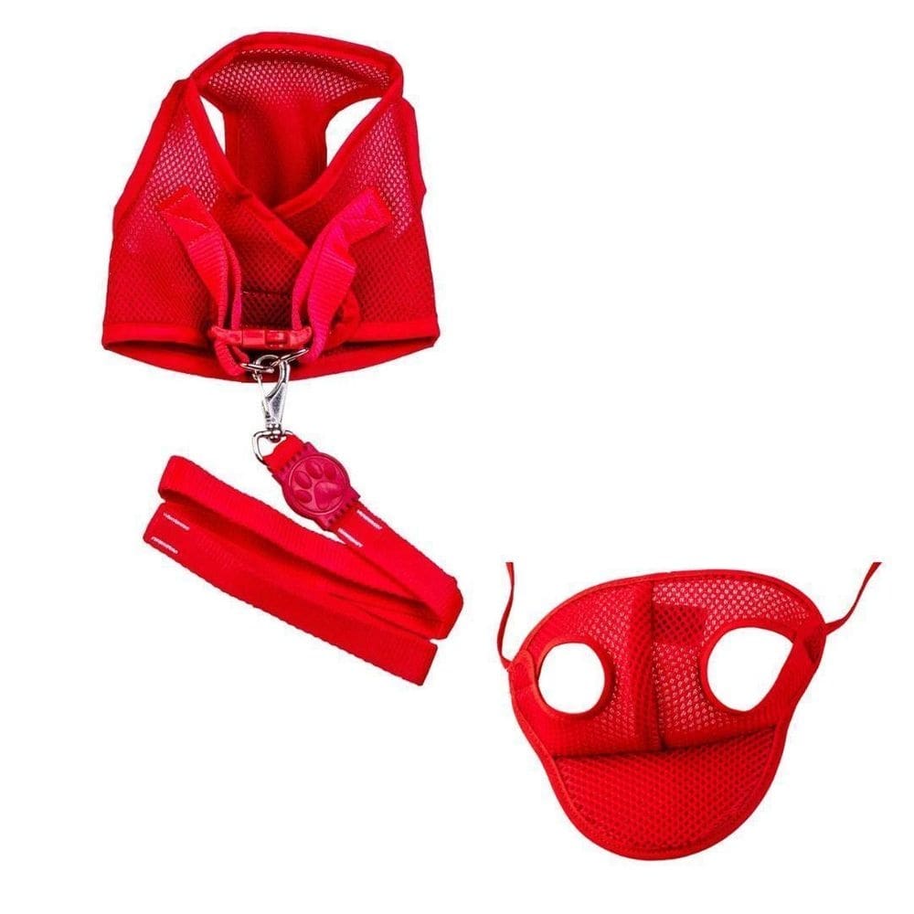 Kit boné e coleira peitoral vermelho eg