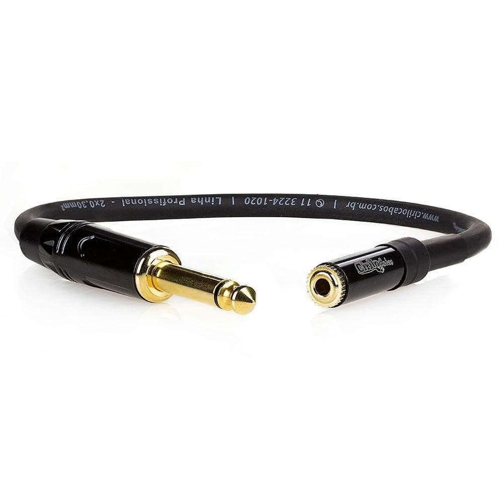 Cabo adaptador p10 macho para p2 femea mono - 20 cm