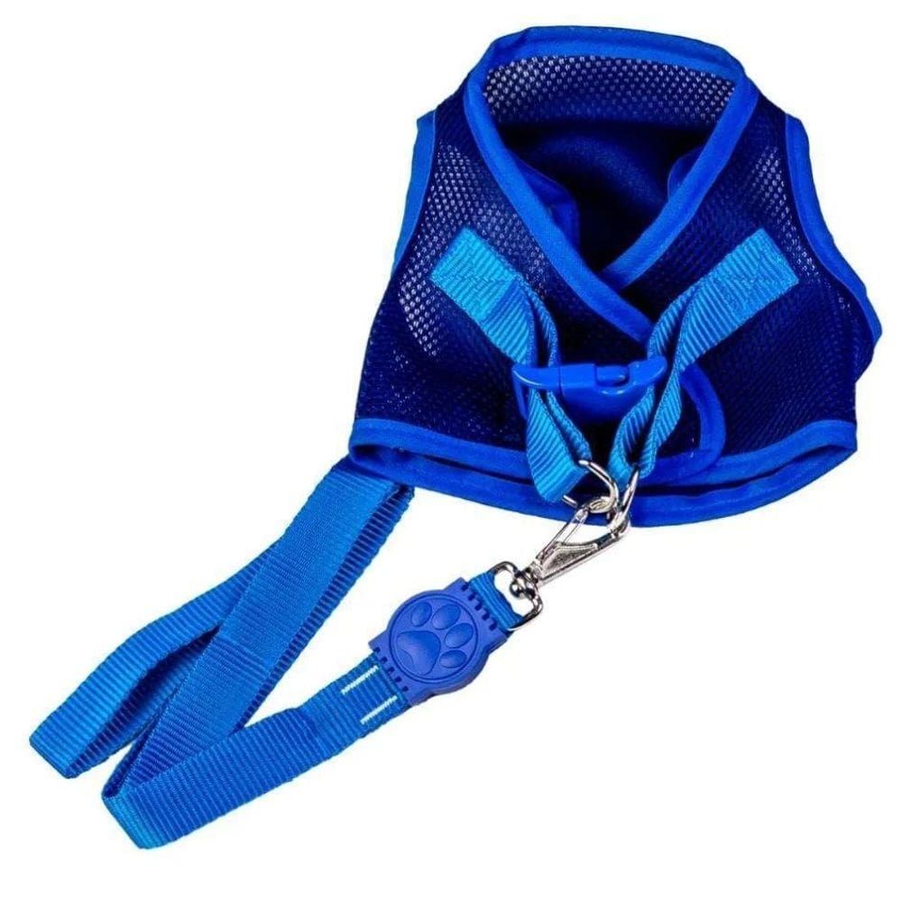 Coleira peitoral com guia aerado azul eg