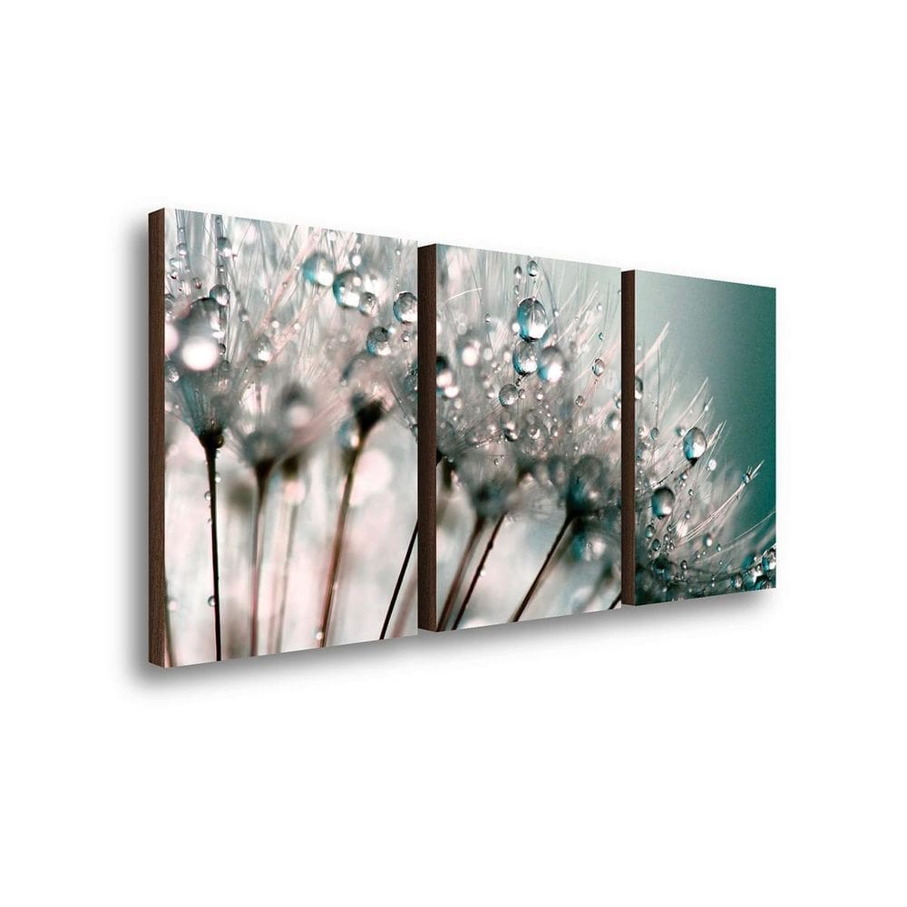 Kit Trio Quadros Decorativo Flores Dente De Leão Em Zoom