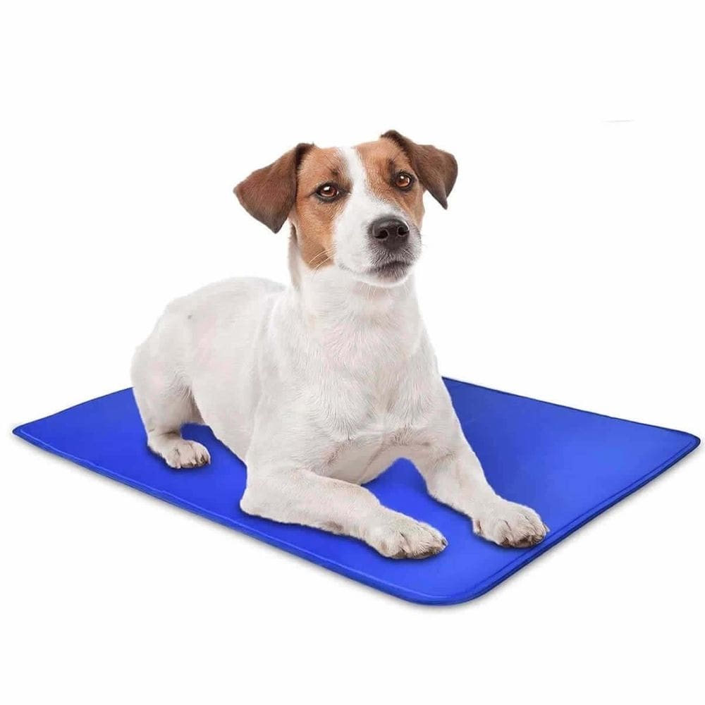 Tapete gelado m pets cães gatos cachorro 40x50 colchonete