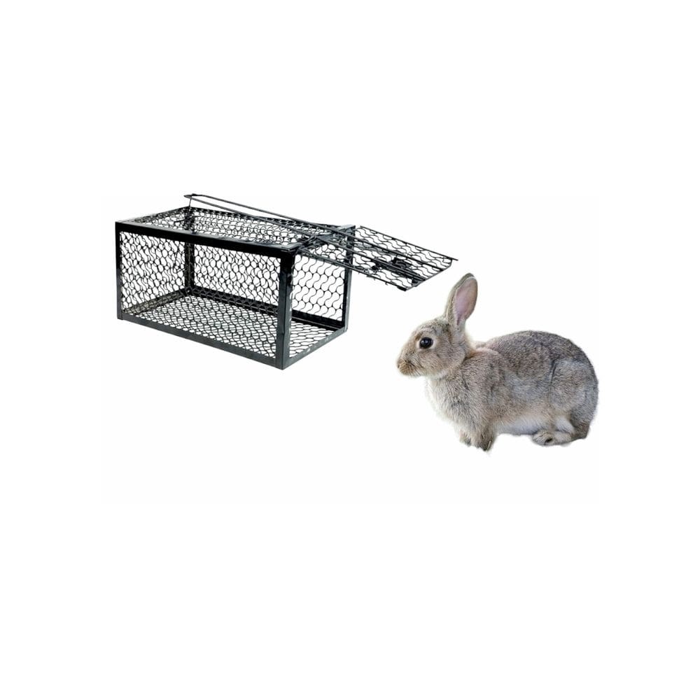 Armadilha de gaiola Magnatika Ferreteria Agrícola Magnum XXL