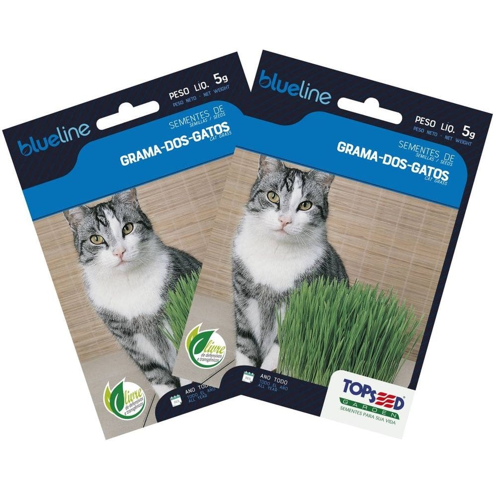 2X Sementes de Grama dos Gatos (Cat Grass) Blueline TOPSEED