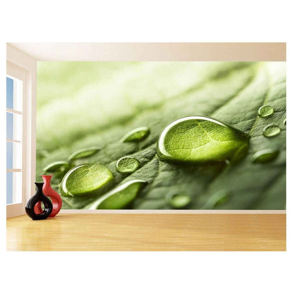 Papel De Parede 3D Folhas Delicadas Água Gota 3,5M Nfl268