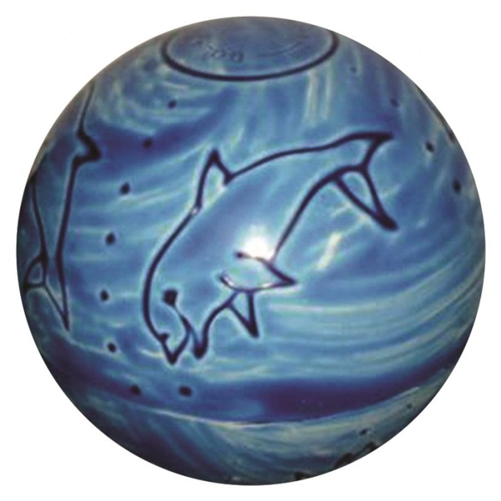 Bola de vinil grande educativa kit com 10 bolas .