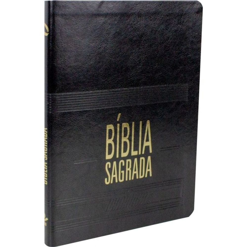 Bíblia Sagrada Slim -  NAA - PRETA - SBB
