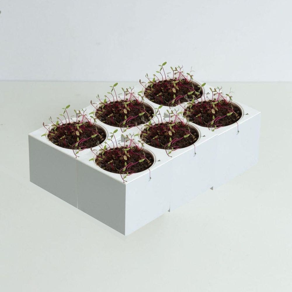 Kit horta inteligente jardim gourmet cinza claro