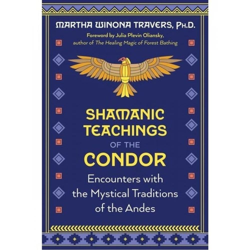 Shamanic Teachings Of The Condor