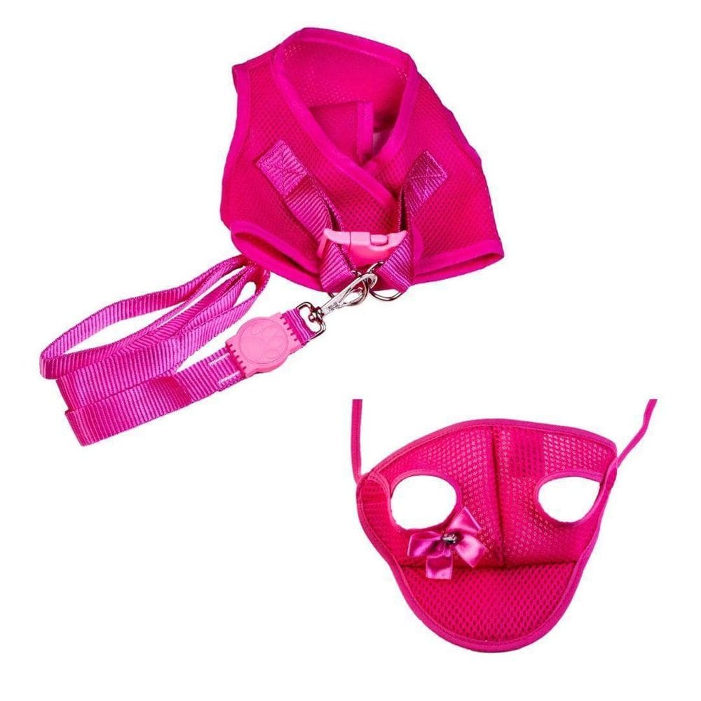 Kit boné e peitoral com guia aerado para cães rosa gg