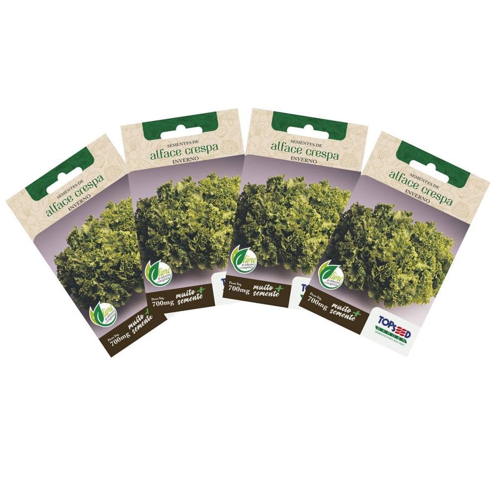 4X Sementes de Alface Crespa para Inverno TOPSEED