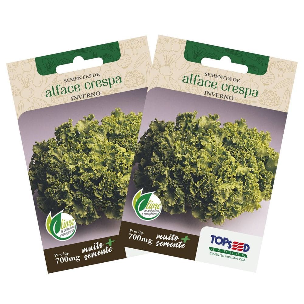 2X Sementes de Alface Crespa para Inverno TOPSEED