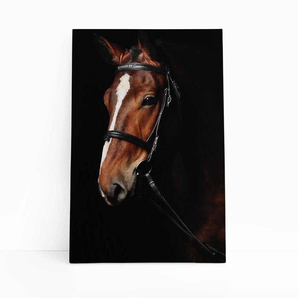 Quadro Canvas Cavalo Animais Fotografia Fundo Preto 60X40Cm