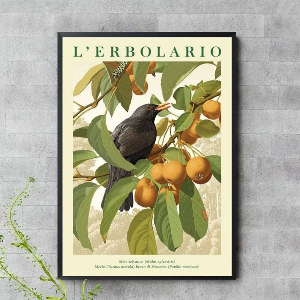 Quadro Passarinho Preto Com Frutos 45X34Cm - Com Vidro