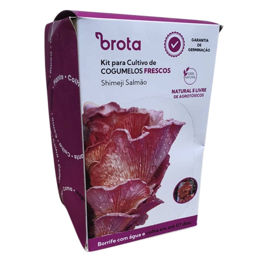 Kit de Cultivo de Cogumelo Frescos (Shimeji Salmão) BROTA