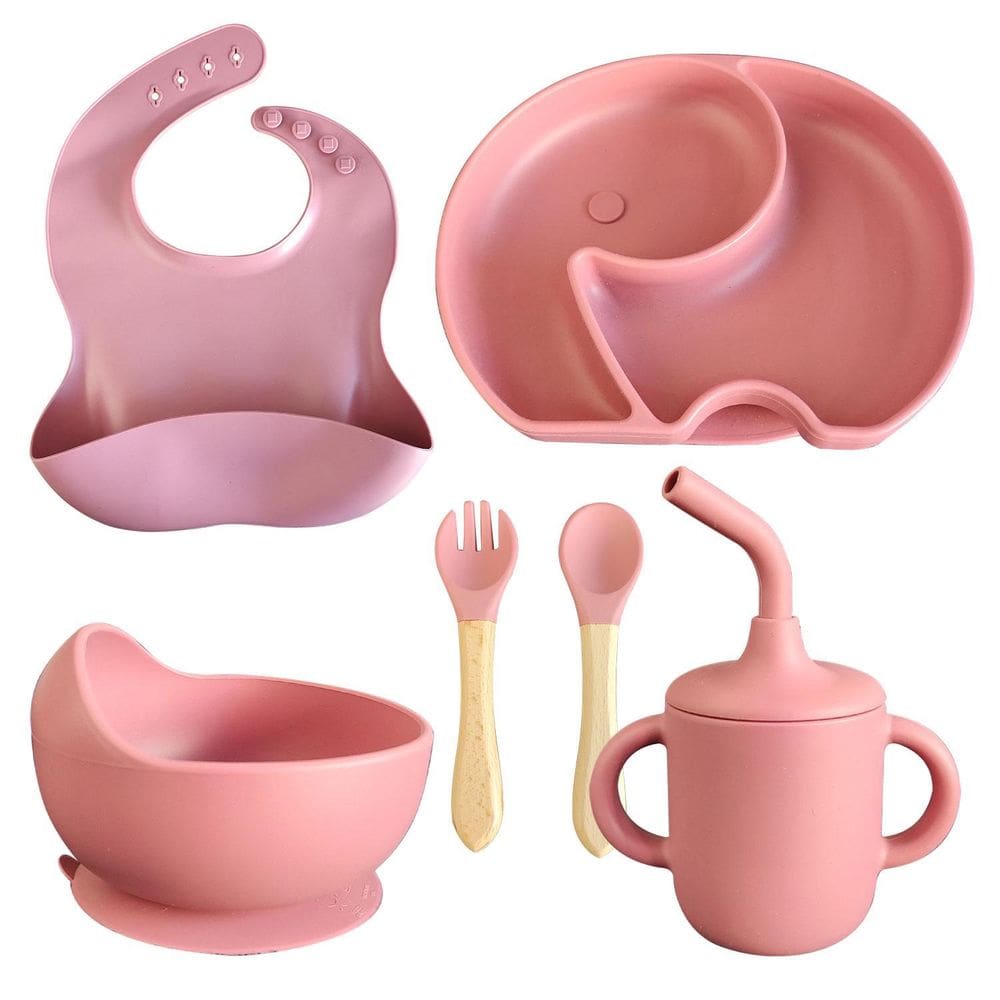 Conjunto Introdução Alimentar Bebê Silicone 6 Peças Prato