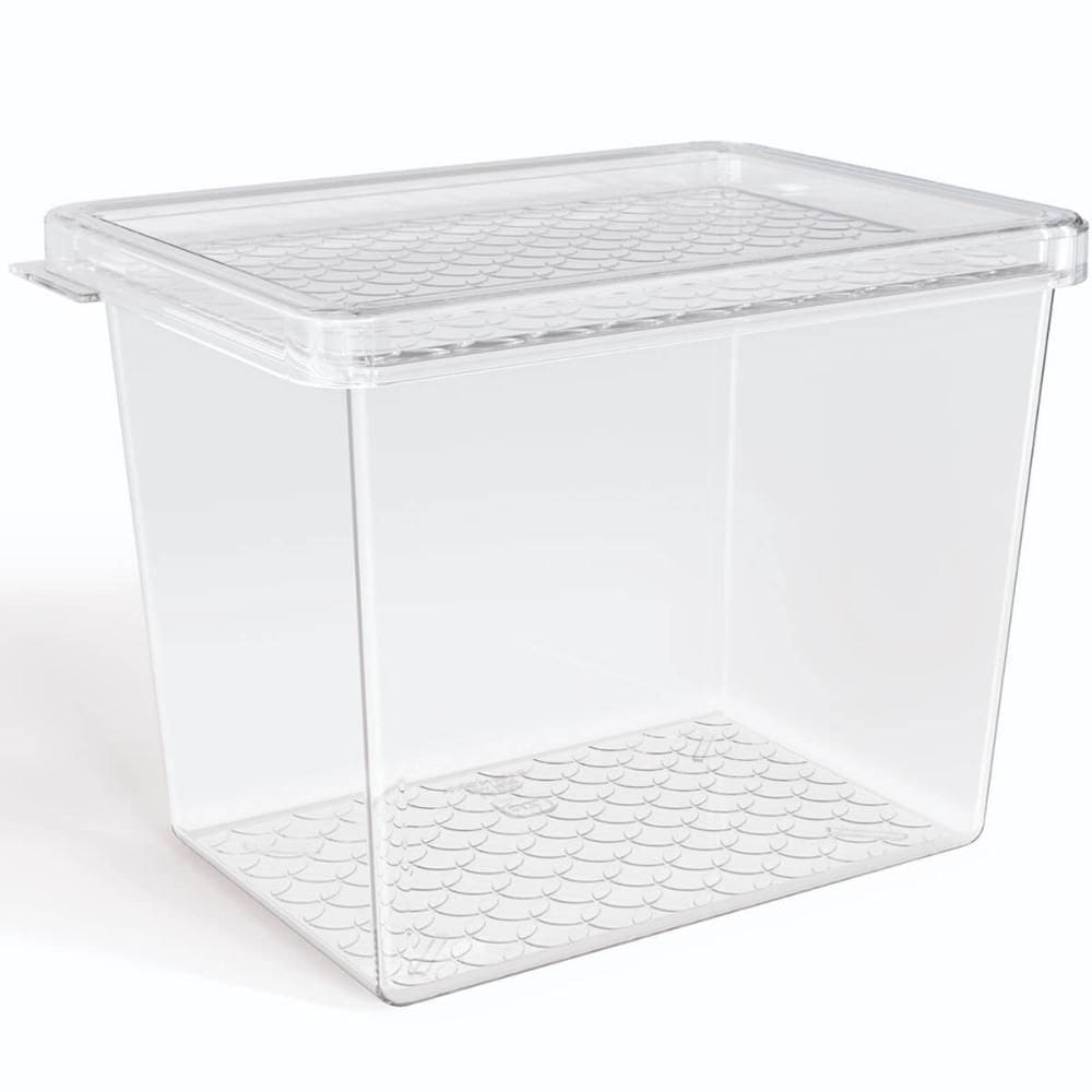 Organizador de Geladeira Multiuso Cozinha 1,3L com Tampa Tra