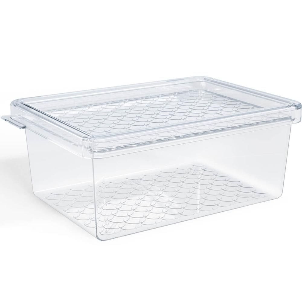 Organizador de Geladeira com Tampa 660ml Cozinha Multiuso Fr