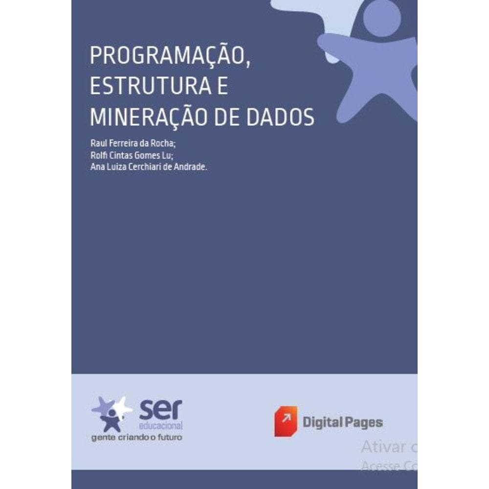 Programação, Estrutura e Mineração de Dados
