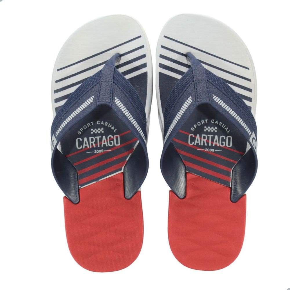Chinelo Cartago Dallas Cinza