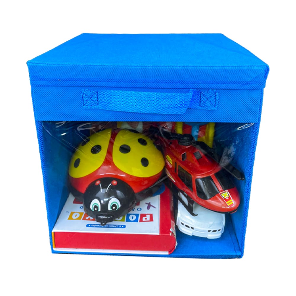 Caixa Organizadora de Brinquedos Com Tampa Closet Armário Com Visor Transparente e Alça