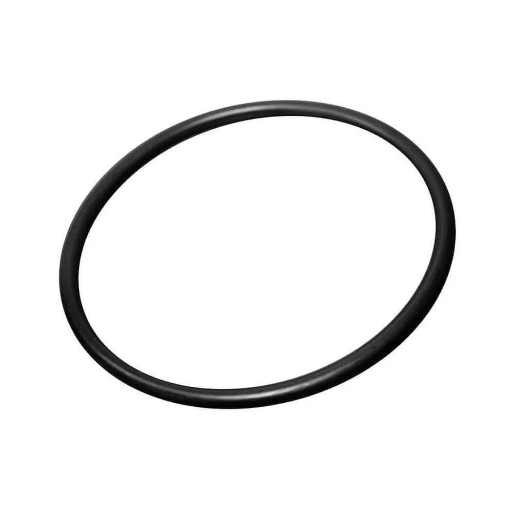 O`ring Para Carcaça Big Bbi
