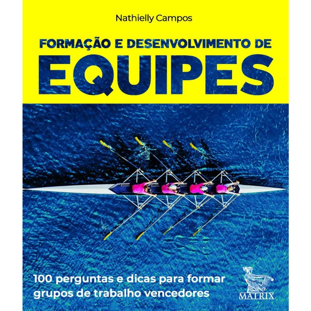 Livro Caixinha - Formação E Desenvolvimento De Equipes