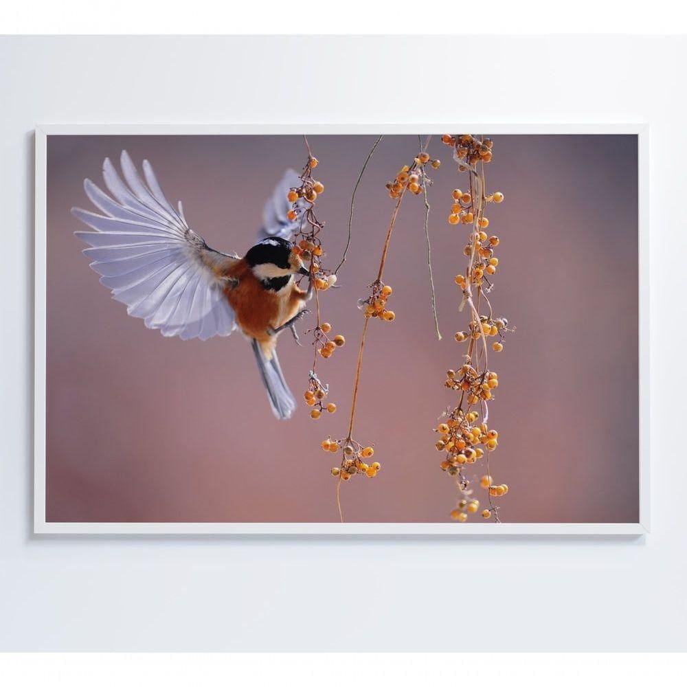 Quadro Beija Flor 90x60 Cm Vidro Impresso