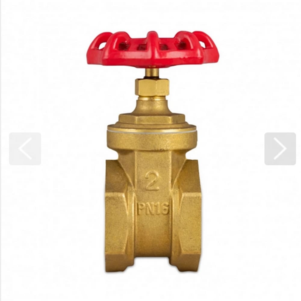 Valvula gaveta 2 1/2" registro bruto