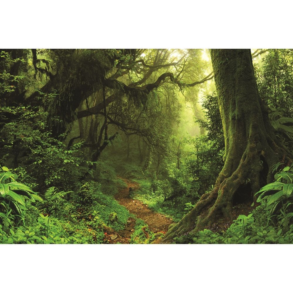 Fundo Fotográfico Em Tecido Floresta Verde 2,80X1,50.