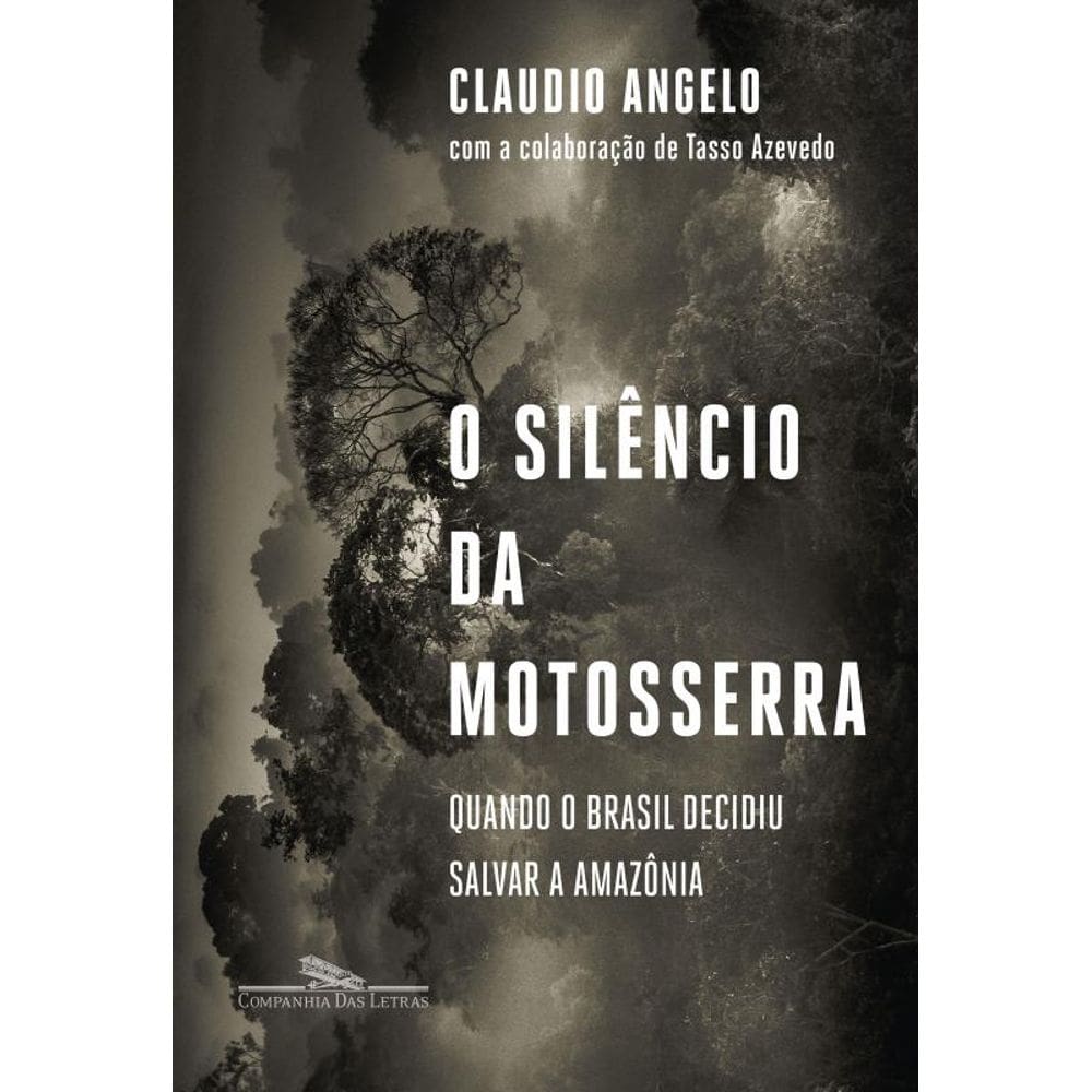 O silêncio da motosserra: Quando o Brasil decidiu salvar a Amazônia