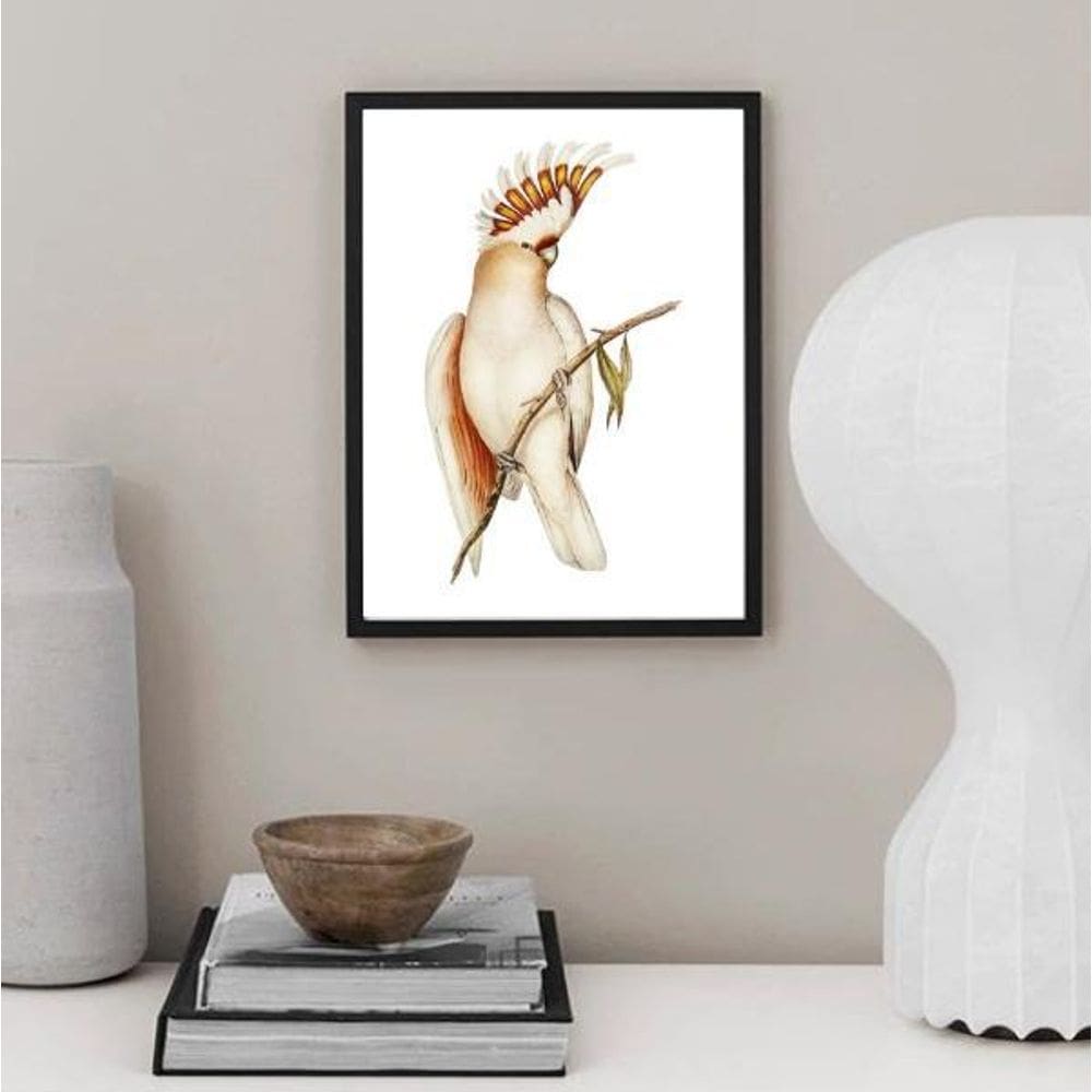 Quadro Decorativo Passarinho Cacatua 45X34Cm