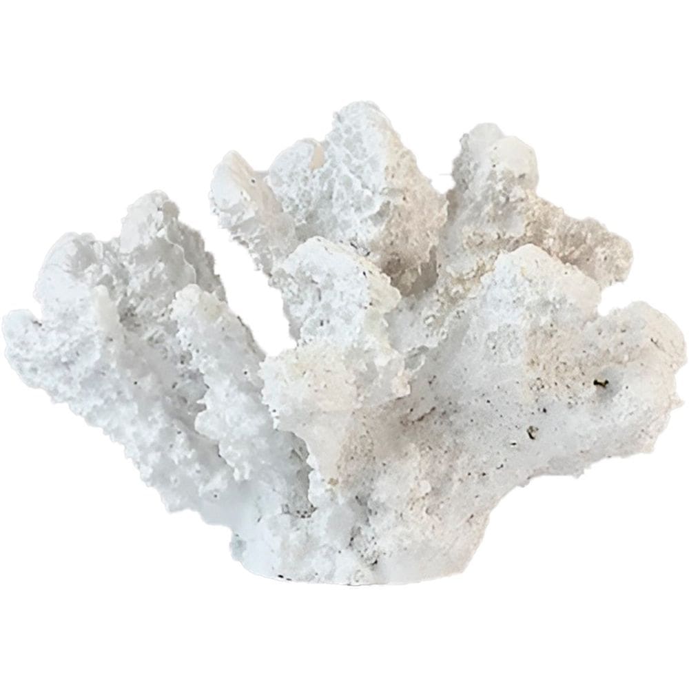 Escultura Decorativa Aquário Coral Artificial Resina Branco