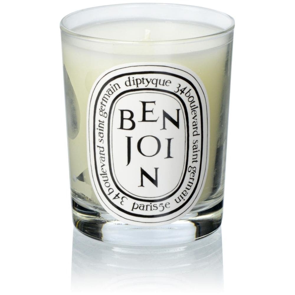 Vela Diptyque Benjoin 192ml