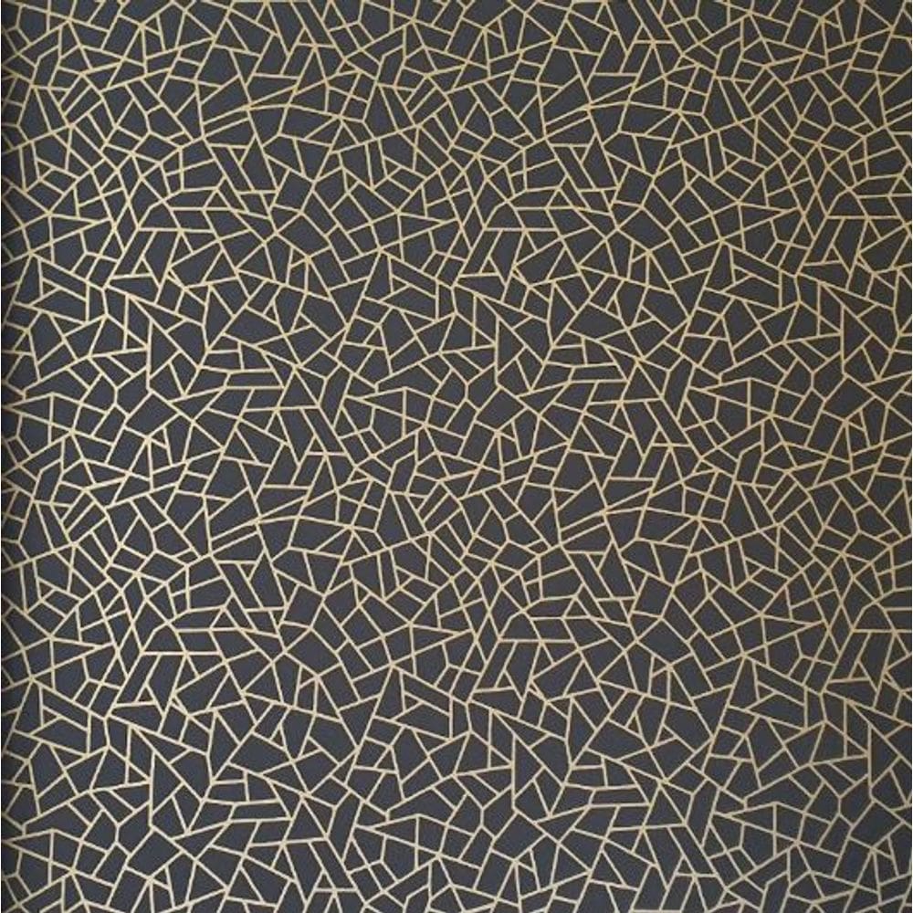 Papel de Parede Neo Geometric Geométrico Preto NG1961