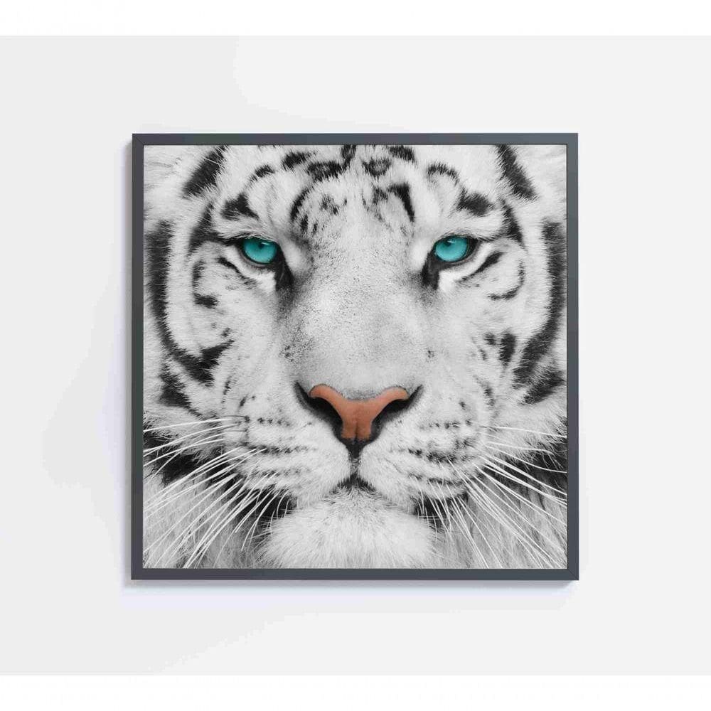 Quadro Tigre Branco Medidas 60x60 Cm Impressão Tecido Canvas