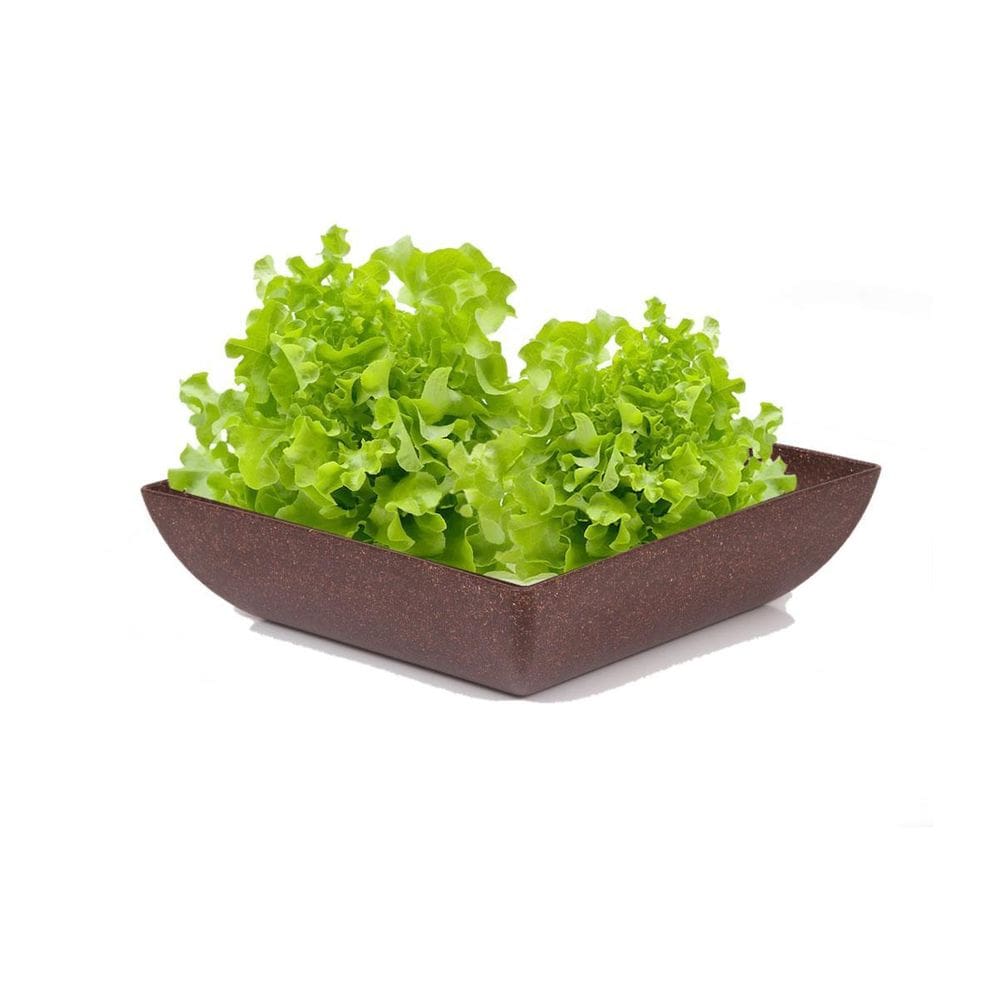 Saladeira Quadrada 2,9 Lt Travessa Petisqueira Marrom Escuro