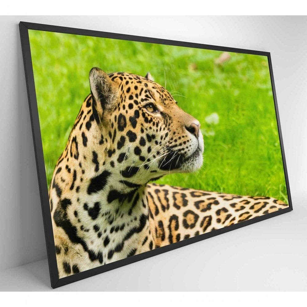Quadro Onça Pintada No Pantanal Medidas 120x80 Cm Tipo De Impressão Tecido Canvas