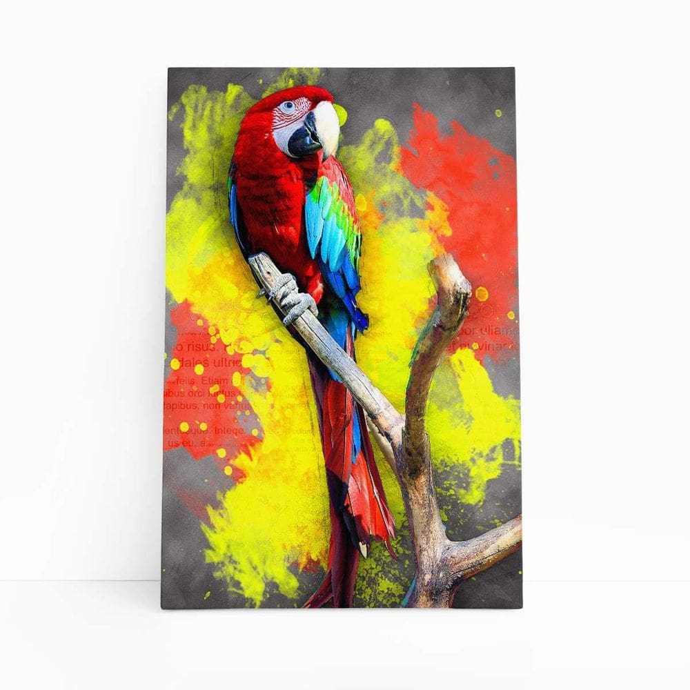 Papagaio Animais Foto Arte Aquarela Quadro Canvas 60X40Cm